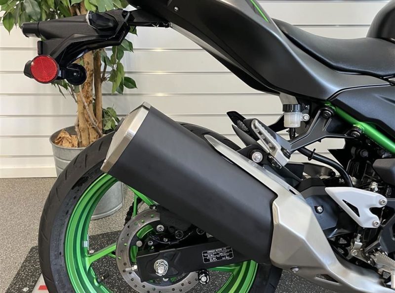 11891739.jpg 11891739.jpg