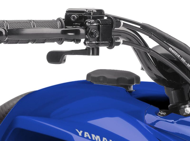 2021_YAM_YFZ50_EU_DPBSE_DET_002_03_preview_474014.jpg 2021_YAM_YFZ50_EU_DPBSE_DET_002_03_preview_474014.jpg