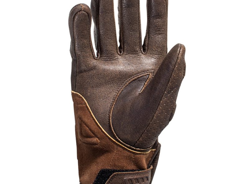 3_70876_727_r_195_palm_fernie__large_473897.jpg 3_70876_727_r_195_palm_fernie__large_473897.jpg