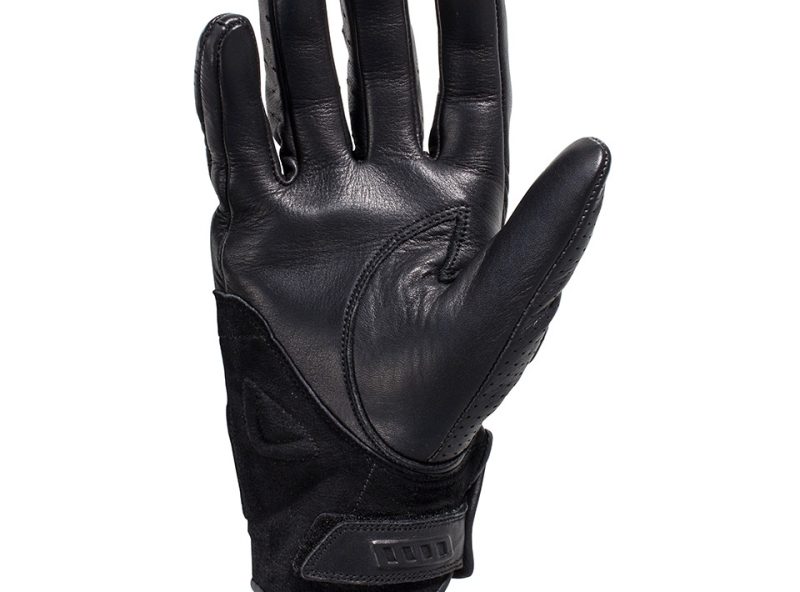 3_70876_727_r_990_palm_fernie__large_473898.jpg 3_70876_727_r_990_palm_fernie__large_473898.jpg