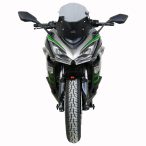 MRA-kaabeglas-26-0175659-Kawasaki-Ninja-1000SX-20-Racing-glas-i-graa-R-1-Holtug-MC-B.jpg